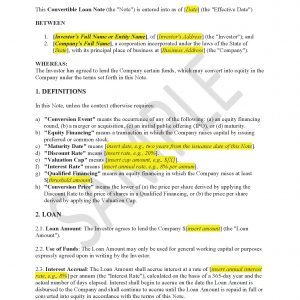 Convertible Loan Note (US) with Legal Review & Advice