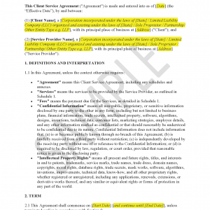 Client Service Agreement (US) with Legal Review & Advice